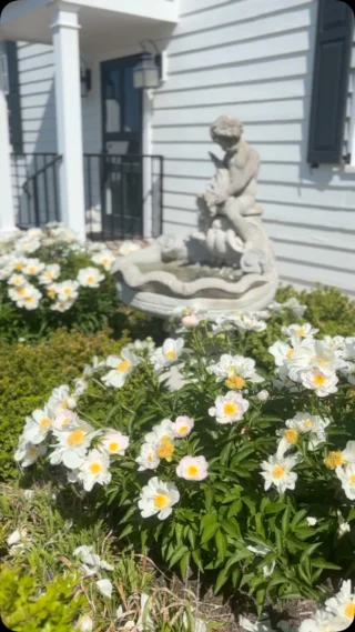 A beautiful spring wedding weekend in full bloom 🌷⛲️